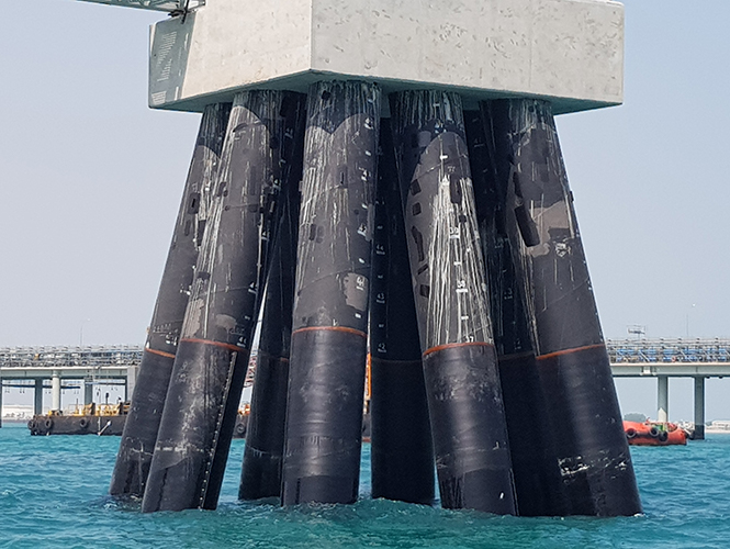 SeaShield 2000FD applid to jetty piles