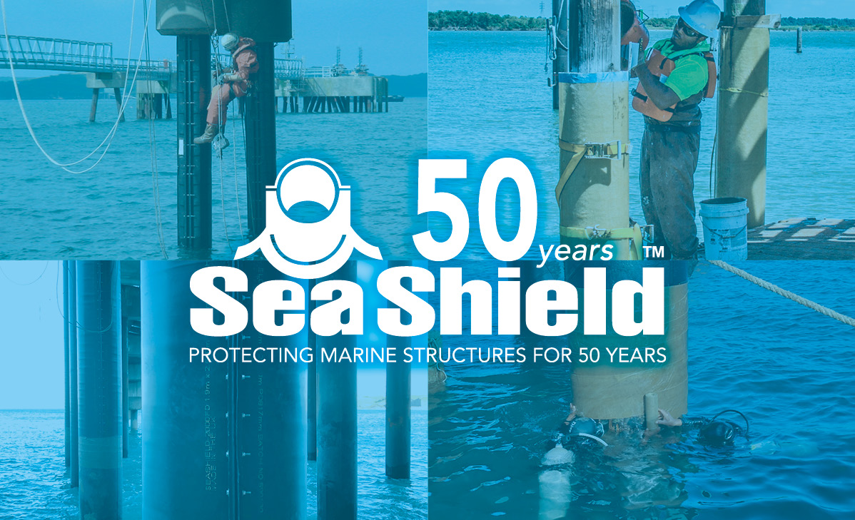 seashield 50 years logo
