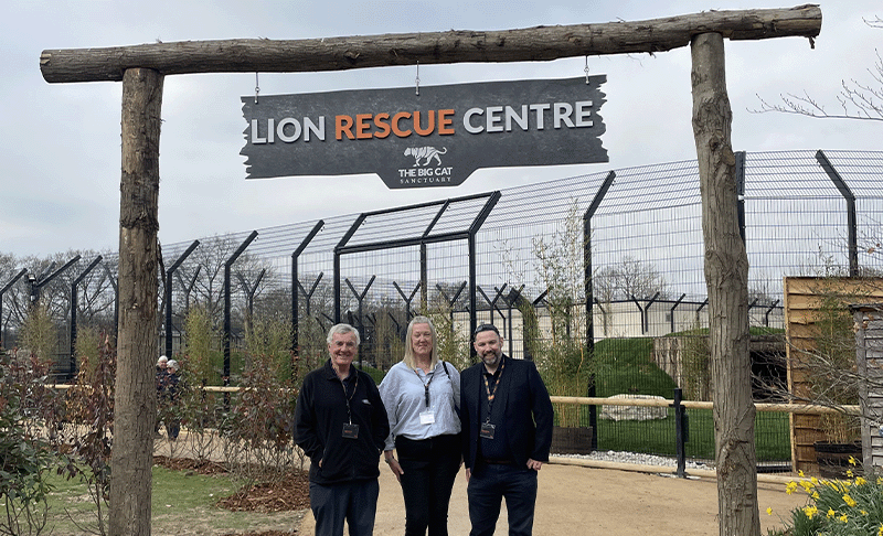 Big Cat Sanctuary - Denso