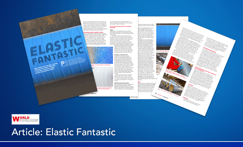 Image to illustrate a blog post called Elastic Fantastic